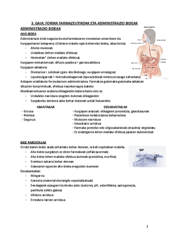 3.-FORMA-FARMAZEUTIKOAK-ETA-ADMINISTRAZIO-BIDEAK.pdf