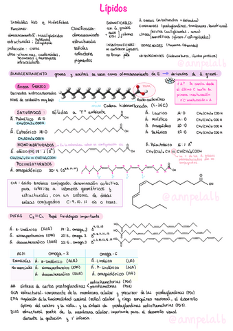 T3-Lipidos.pdf