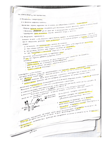 resumen-tema-14-y-15.pdf