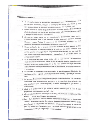 PROBLEMAS GENETICA + SOLUCIONES.pdf