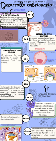 desarrollo embrionario.pdf