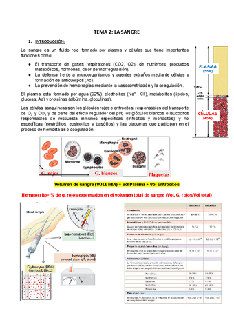 tema-2-bases.docx.pdf