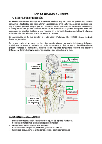 tema-2.3-bases.docx.pdf