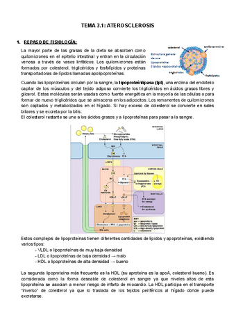 tema-3.1-bases.docx.pdf