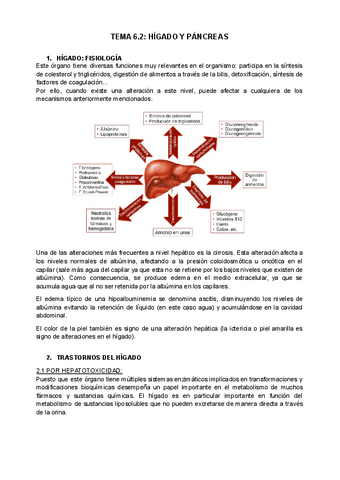 tema-6.2-higado-y-pancreas.docx.pdf