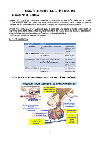 tema-7-.docx.pdf