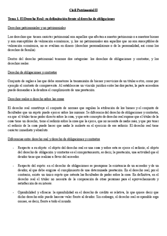 TEMA-1-CIVIL-II.pdf