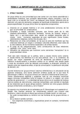 TEMA 3 COMPLETO.pdf