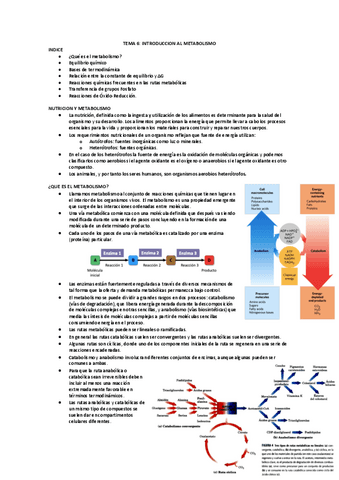 TEMA-6-INTRODUCCION-AL-METABOLISMO.pdf