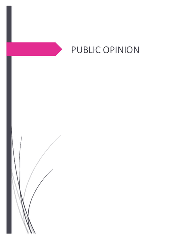 PUBLIC-OPINION.pdf