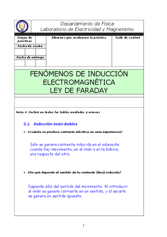 Practica-Faraday-con-solucion.pdf