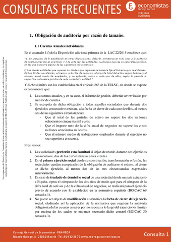 02-Aclaracion-Auditoria-Obligatoria-LIMITES-Consultas-Frecuentes-1.pdf