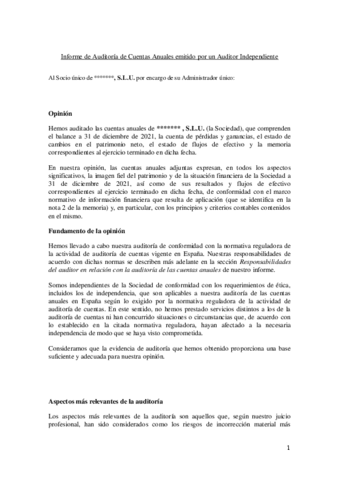 06-Informe-auditoria-sin-salvedades.pdf