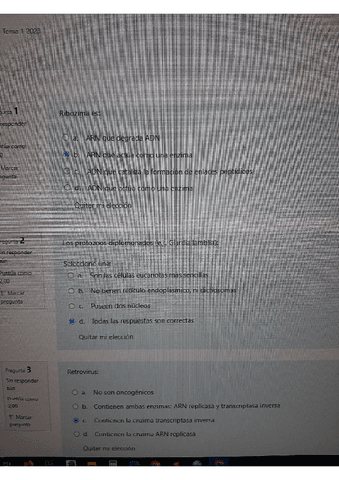 cuestionario-tema-1.pdf