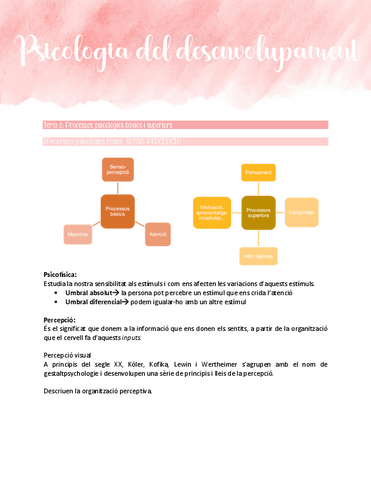 Processos-psicologics-basics-i-superiors.pdf