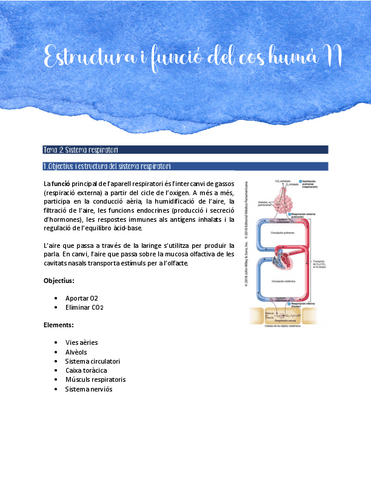 Sistema-respiratori.pdf