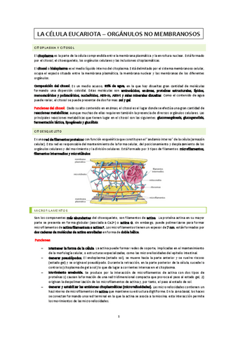Organulos-no-membranosos.pdf