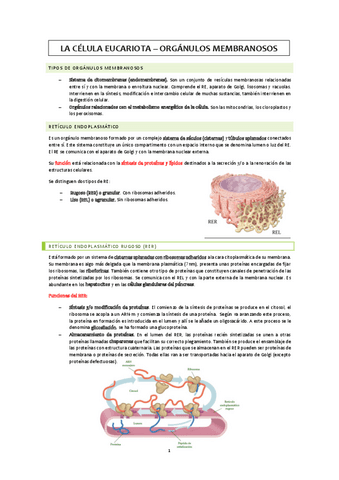 Organulos-membranosos.pdf