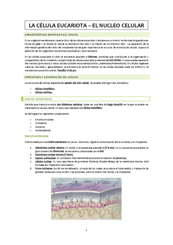Nucleo-celular.pdf