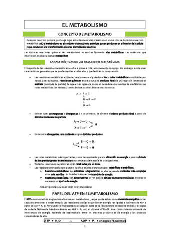 Metabolismo.pdf