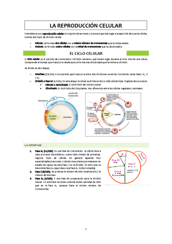 La-reproduccion-celular.pdf
