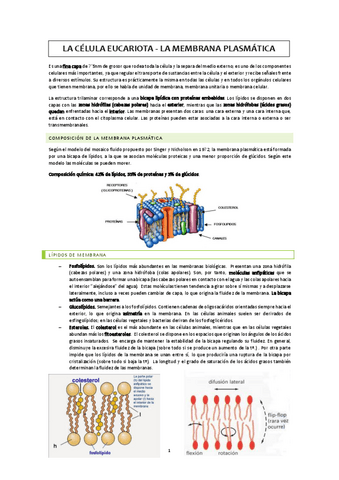 La-membrana-celular.pdf
