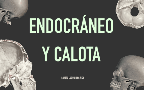 Practica-1-Endocraneo-Y-Calota.pdf
