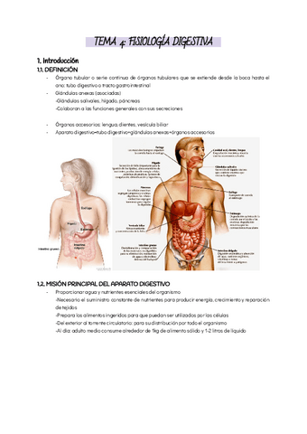 TEMA-4-FISIOLOGIA-DIGESTIVA.pdf