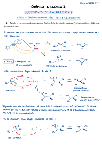 CUESTIONES-PRACTICA-1-NGR.pdf