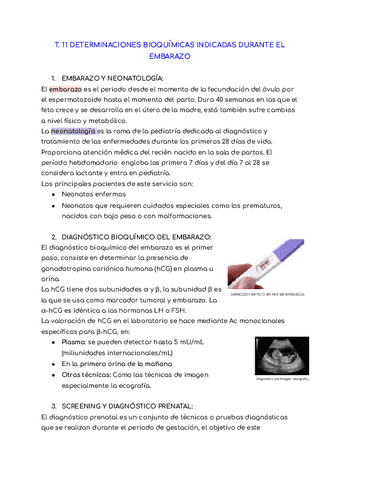Analisis-bioquimico-T10-y-T11.pdf