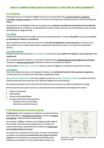 TEMA-6-envejecimiento.pdf