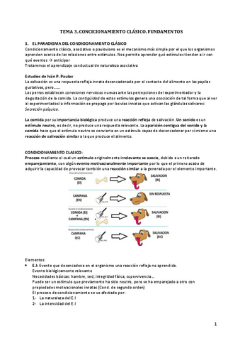 Tema-3.pdf