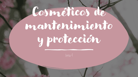 Tema-4-cosmetica.pdf