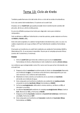 Tema 13.pdf