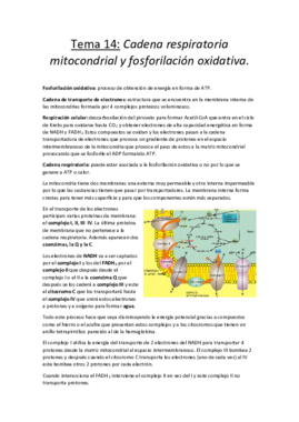 Tema 14.pdf