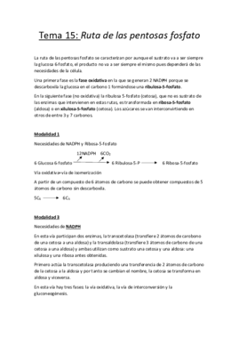 Tema 15.pdf