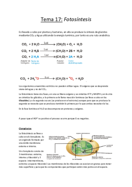Tema 17.pdf