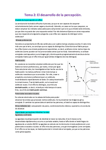 Desarrollo-cognitivo-Tema-2-resumido.pdf