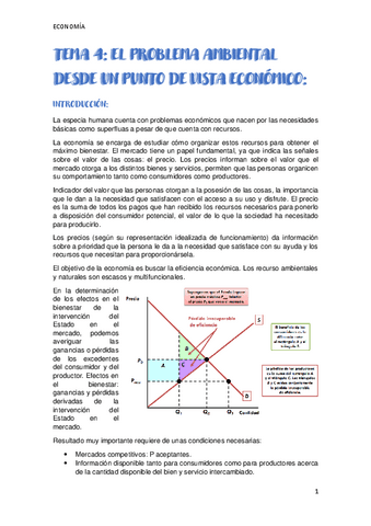 Tema-4-economia.pdf