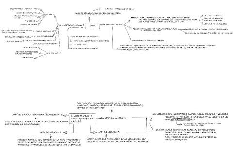 TEMA-ULCERAS-POR-PRESION.pdf