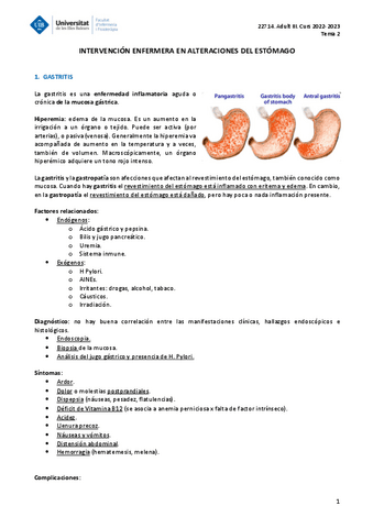 ADULT-III-TEMA-2.pdf