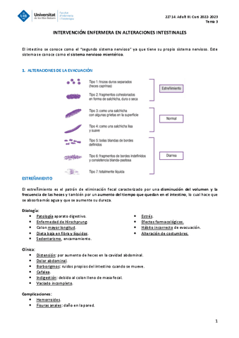 ADULT-III-TEMA-3.pdf