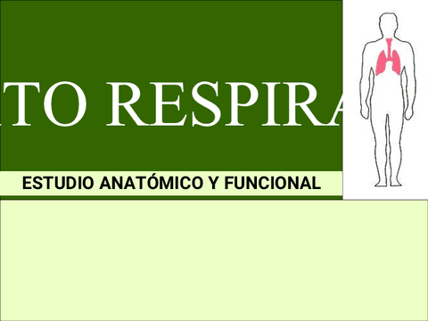 RESPIRATORIOConverted.pdf