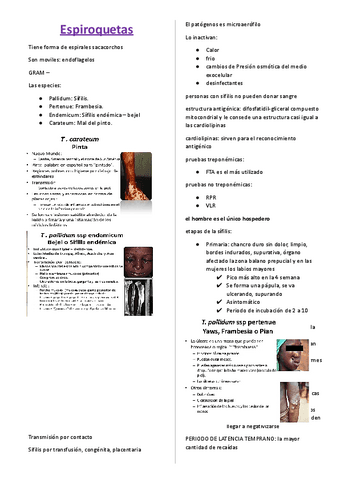 EscritoAUDIO-DE-CLASES-ESPIROQUETAS.pdf