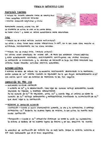 Tema-8.-Musculo-liso.pdf