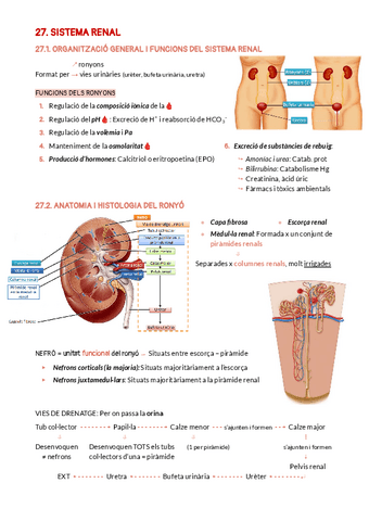 BLOC-9-SISTEMA-RENAL.pdf