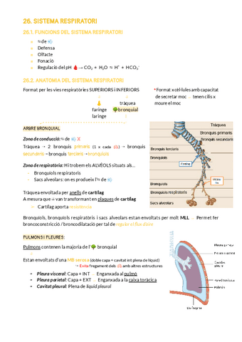 BLOC-8-SISTEMA-RESPIRATORI.pdf