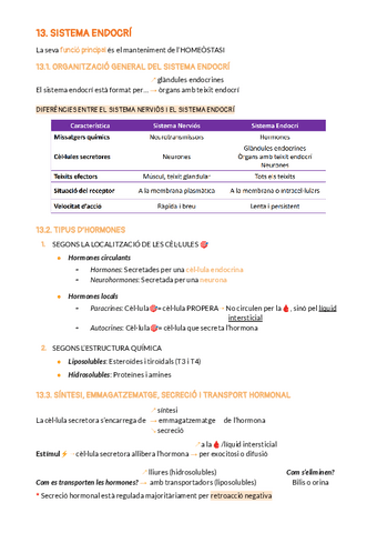 BLOC-4-SISTEMA-ENDOCRI.pdf