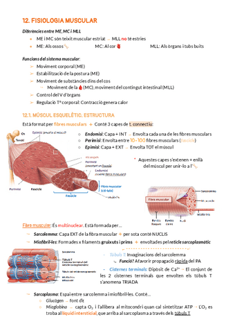 BLOC-3-SISTEMA-MUSCULAR.pdf