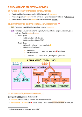 BLOC-2SISTEMA-NERVIOS.pdf